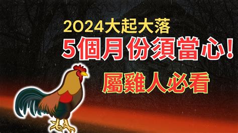 屬雞女|2024年屬雞女運勢 2024年屬雞女運勢完整版